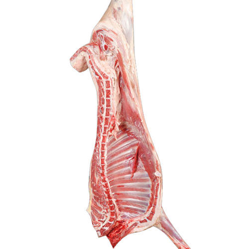 鲜肉