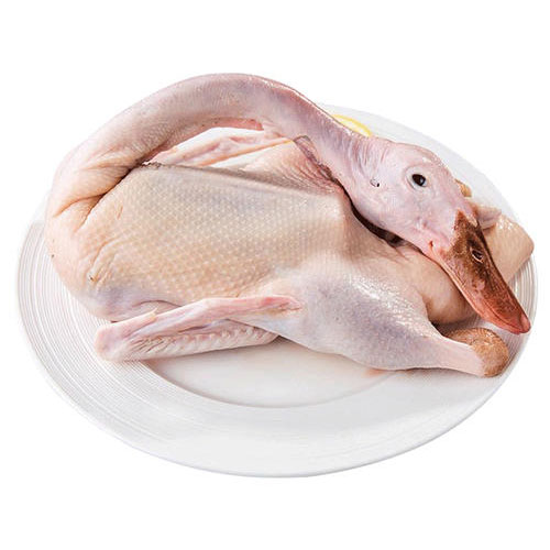 鲜肉